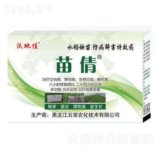 ˮ⺦(zhun)-ٻ-峣