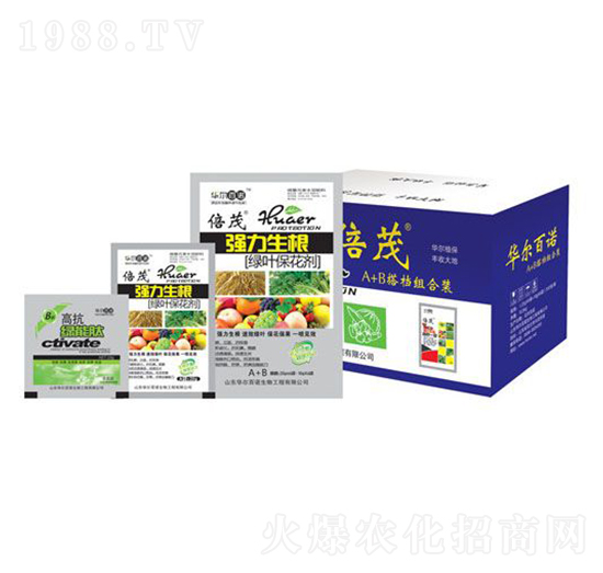 (qing)G~-AZ