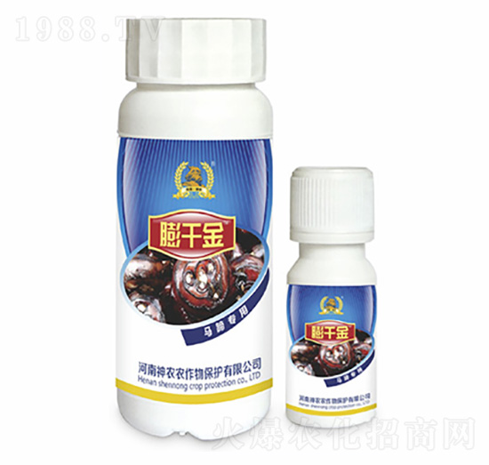 R㌣(zhun)~-ǧ-r(nng)