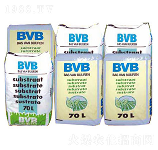 Nû|-BVB-rQ