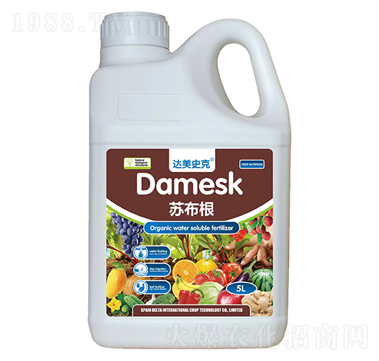 5L-K-_(d)ʷ