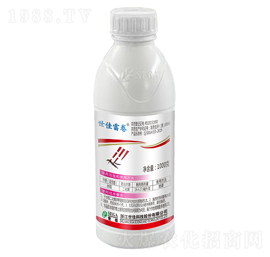 24%x(chng)1000g-׾-