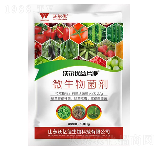 ΢-֠(yu)Ƭ-փ|