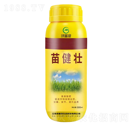 罡-G