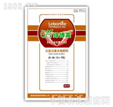 GR-ѿֻڌ500g
