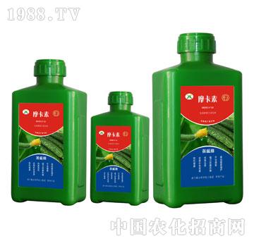 SόðҺķ-Ħ-(qing)о(gu)H
