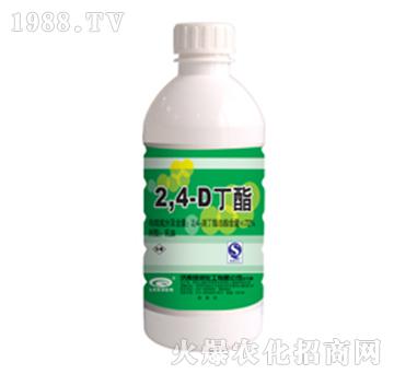 72%24ζ-G