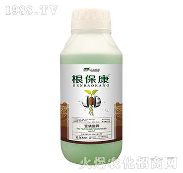 1000g-_(ti)