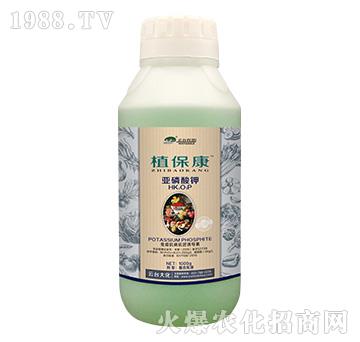 1000gֲ-_(ti)