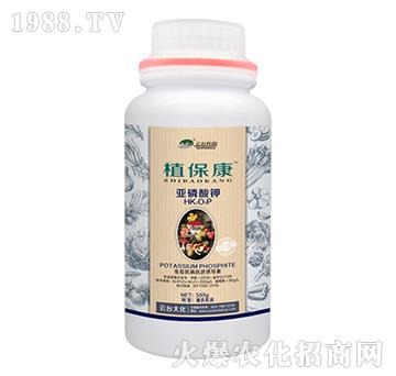 500gֲ-_(ti)