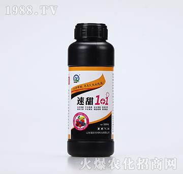 1+1(500ml)-r(nng)