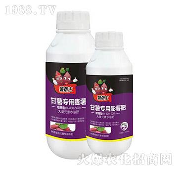 t팣(zhun)--A(l)