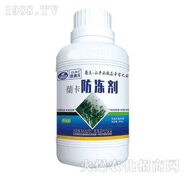 350g-mr(nng)I(y)