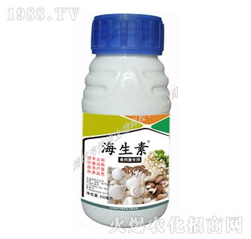 ʳþ(zhun)--ŵ
