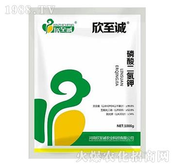 1000g-\(chng)