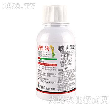25%x(chng)˪`-5̖(ho)-(lin)