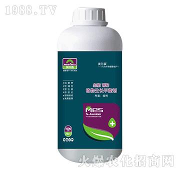 1000mlֲL(zhng)ƽ