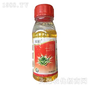 4.2%ȡ׾S}-p-̩̻