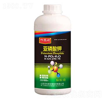 ƿb0-525-270+TE-Ә(l)-(li)