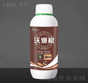 焩-ֱ-ِSr