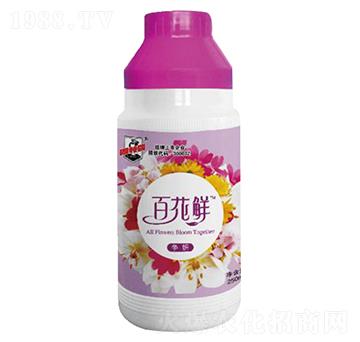 ٻr(zhng)-
