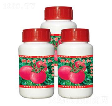 ь(zhun)һc(din)t-