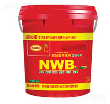 NWB(zhun)Û_ʩ-