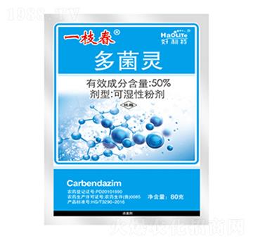 50%`-һ֦-