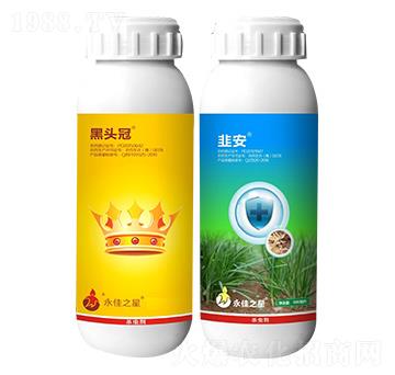 (zhun)κ^Mb ^+° ֮
