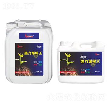 (qing)-~-sֲ