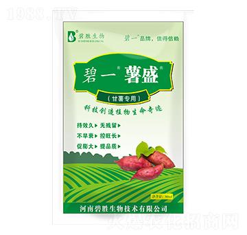 팣(zhun)÷ ʢ ̄