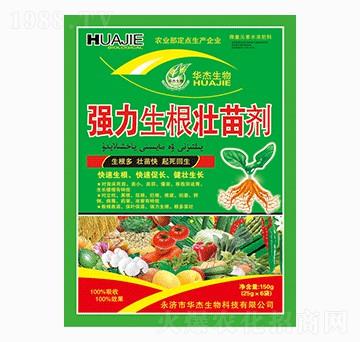 (qing)焩-A