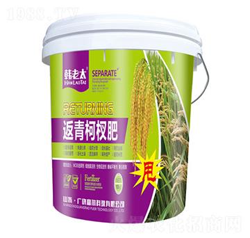 辷-n̫-Ƽ