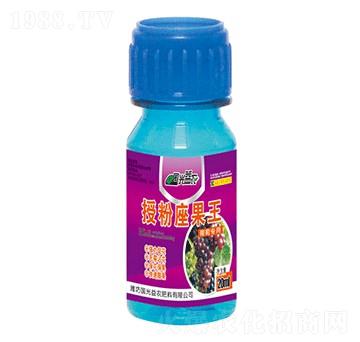 ь(zhun)ڷ