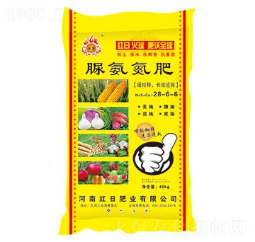 就28-6-6-tշʘI(y)