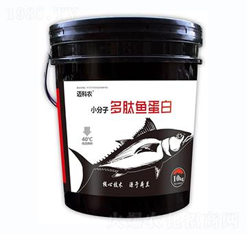 СӶ~(y)-~r(nng)-Έ