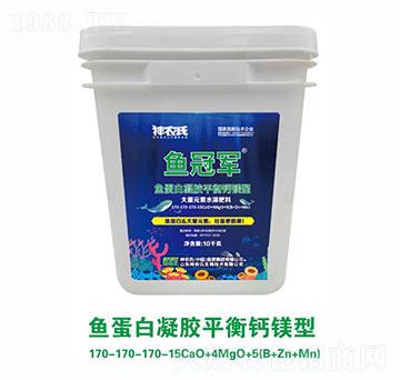 ~zƽ}Vʹ