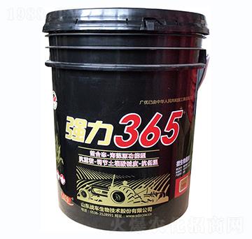 (qing)365-(zhn)܇