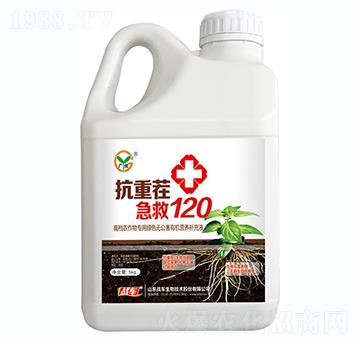 ز缱120-(zhn)܇
