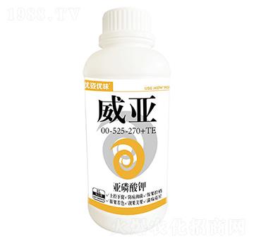 00-525-270+TE-п-(yu)˃(yu)ζ