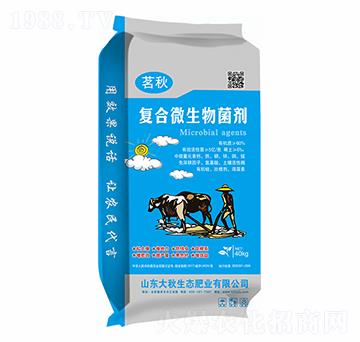 40kg(f)΢--
