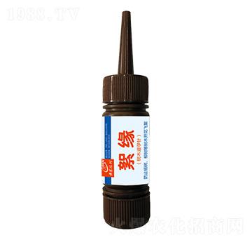(sh)ľ-ڶ(rn)