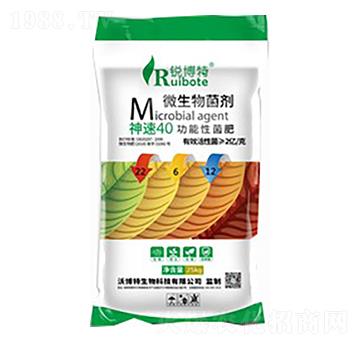 40Ծ24-6-10-J-ֲ