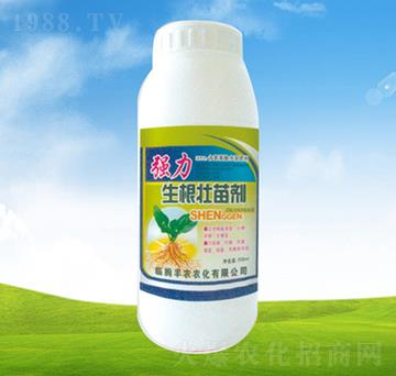 焩-ֲ-