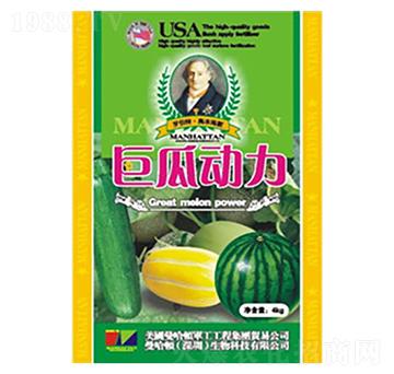 Û_ʩ-޹τ(dng)-»