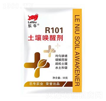 50ф-ţR-101-\I