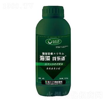 往(xin)(l)m-