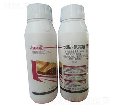 40%ϩ˪Ҹ500g-L(fng)-G