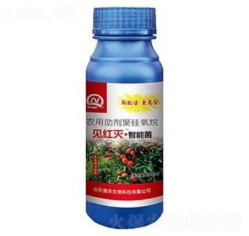 Ҋt硤ܾ500ml-r(nng)