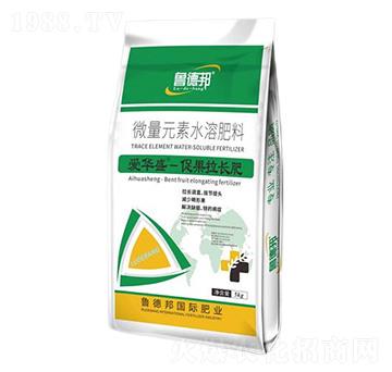 促果拉長(zhǎng)型微量元素水溶肥料-愛(ài)華盛-魯?shù)掳? />
</div>
</div>
<style type=